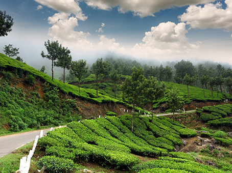 South India Tour