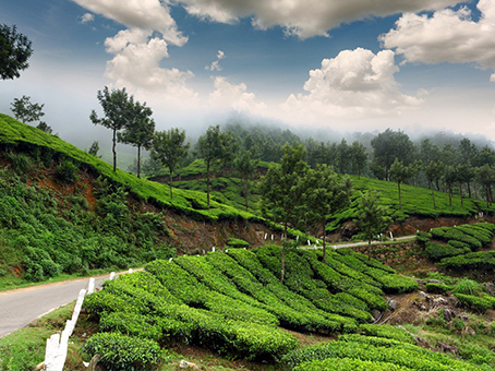 Shimla Manali Tour